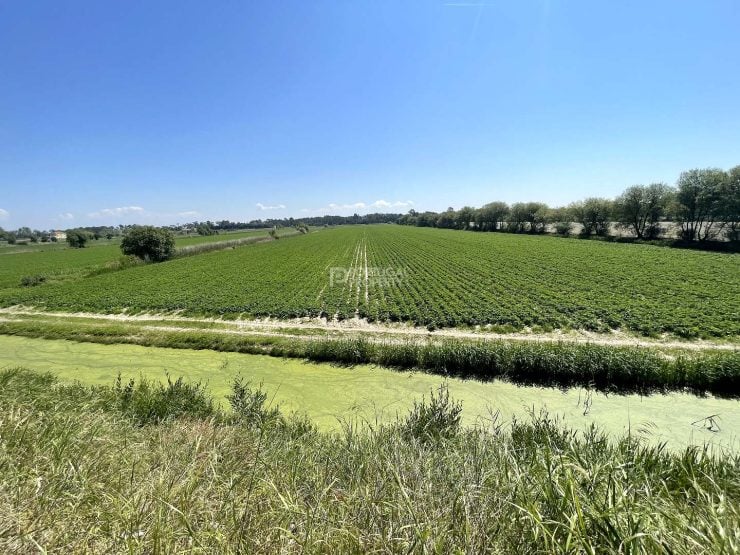 120 Hectares Of Producing Farmland – Massive Development Potential