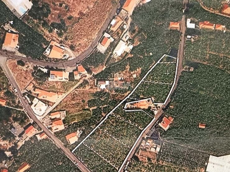 Land with 6 985 m2 in Arco da calheta
