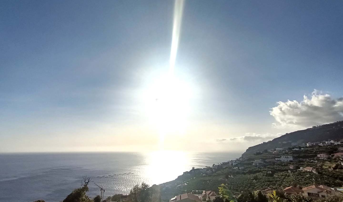 Land in Arco da Calheta Land in Arco da Calheta