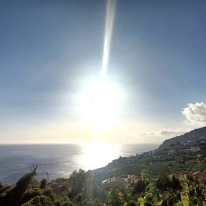 Land in Arco da Calheta