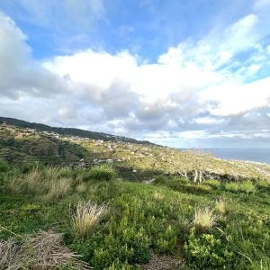Land In Santa Cruz