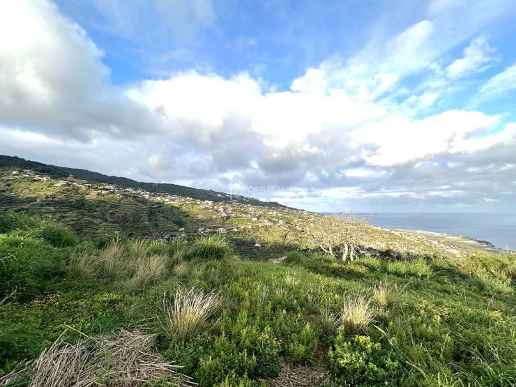 Land In Santa Cruz