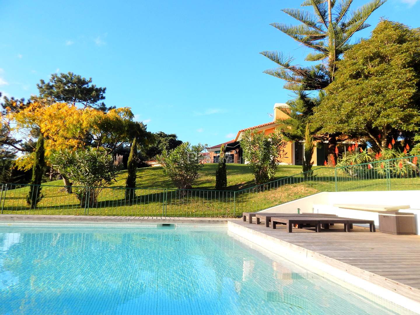 Stunning Villa in Sintra